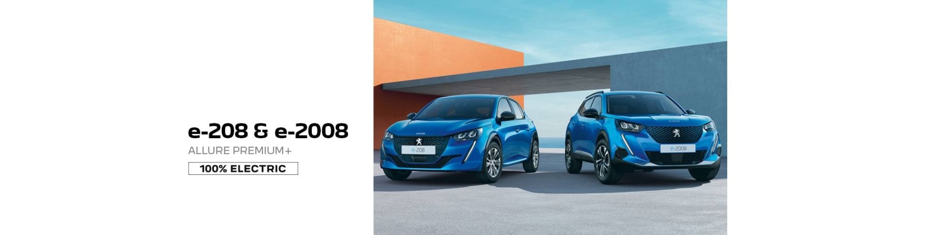 Peugeot e-208 & e-2008