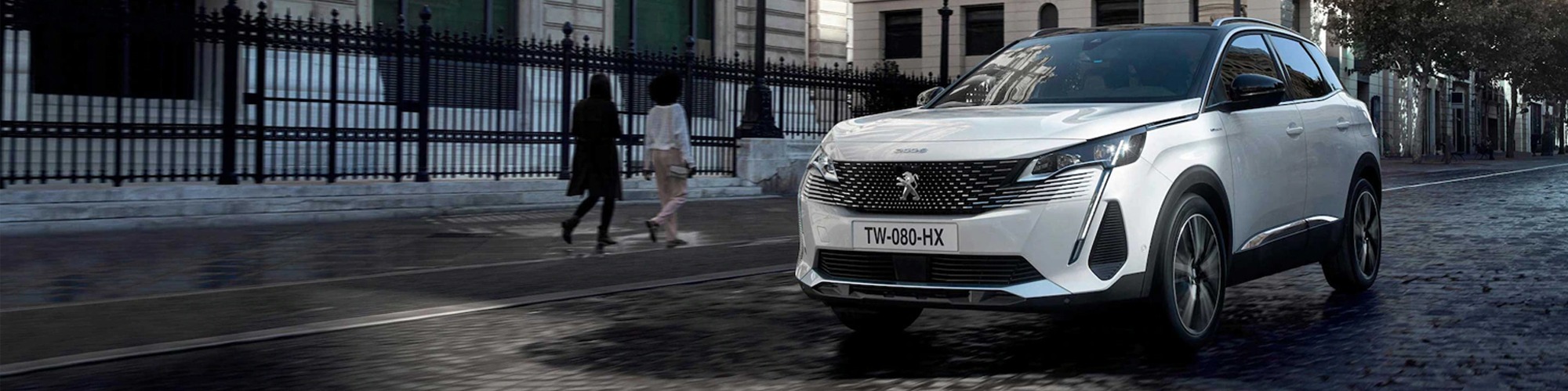 peugeot 3008 Banner